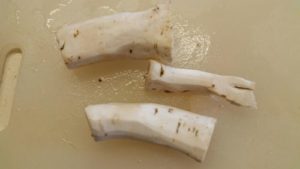 Horseradish roots