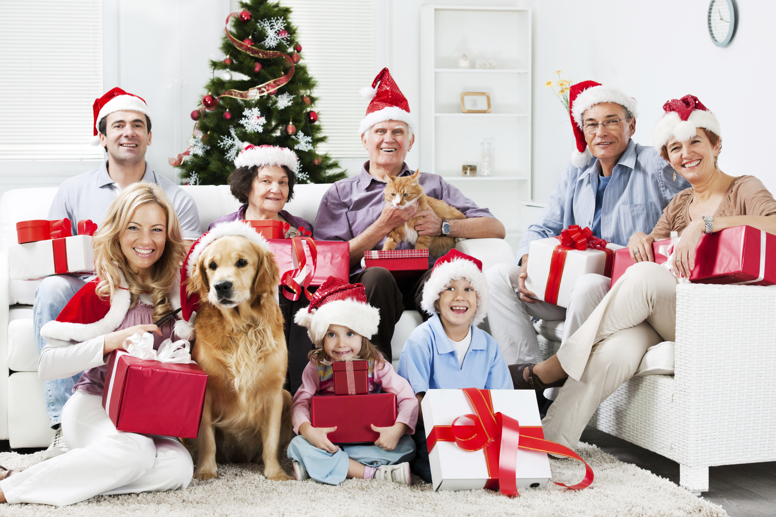Resulta ng larawan para sa families on christmas