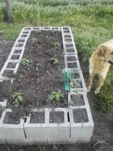 New raised bed